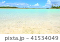 タヒチ　無人島 41534049