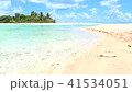 南国　波打ち際 41534051
