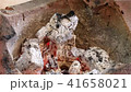 Burning charcoal on the stove; Charcoal in the fir 41658021
