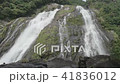 Waterfall of Yakushima Okawa 41836012
