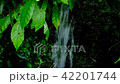 Spring water 42201744