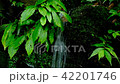 Spring water 2 42201746