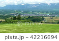 Wheat field of Furano waving with the wind and Daisetsuyama system · Tokachidake mountains 42216694