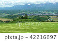 Wheat field of Furano waving with the wind and Daisetsuyama system · Tokachidake mountains 42216697