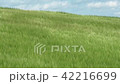 Wheat field of Furano waving with the wind 42216699