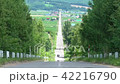 Furano's roller coaster road 42216790