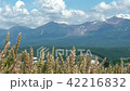 Tokachidake to raise the wheat fields and fumes of Furano 42216832