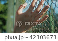 Female hand moving along the surface of grid. Arm of young woman touching metal wire fence. Girl 42303673