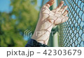 Female hand moving along the surface of grid. Arm of young woman touching metal wire fence. Girl 42303679