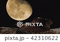 Giant African Snail Achatina on a Background of the Moon 42310622