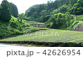 茶畑-3 42626954