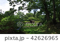 森林浴 42626965