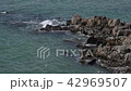 Tojinbo的柱狀關節 42969507