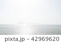 新生男孩的閃亮海 42969620