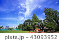 Timelapse Cityscape Minamitaicho Park 43093952