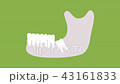 type of wisdom tooth in mandible or lower jaw 43161833