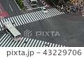 スクランブル交差点微速度撮影 43229706