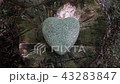 Heart shaped stone (Heartstone) 43283847