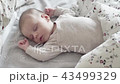 cute little sleeping baby 43499329