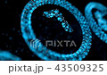 Elegant Blue Numbers Countdown 43509325