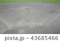 野球場 43685466
