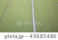 稲作 43685486