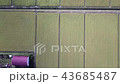 稲作 43685487