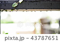 climbing plants and drops on wooden rails  43787651