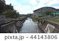 公園の川 44143806
