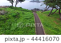 遊歩道に沿って前進から海（空撮） 44416070