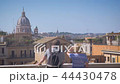 a couple of tourists watching from the height, Rome on a sunny day 44430478