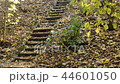 Old stone stairs in the forest in the autumn. Zoom 44601050