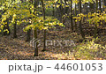 Autumn landscape on the sunny day. 44601053