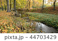 River bed in the autumn. No camera motion. 44703429