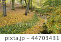 River bed in the autumn. No camera movement. 44703431