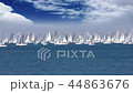 Regatta Barcolana, Sailing boat race  44863676