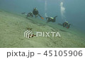 Group of scuba divers swimming under sea water and watching seastars on bottom 45105906