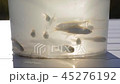 Live fry roach swim in a transparent plastic container illuminated from the sun 45276192