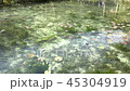 Pond of monet 45304919