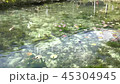 Pond of monet 45304945