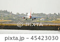 Plain landing closeup slow motion shot 45423030
