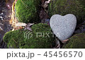Heart shaped stone (Heartstone) 45456570