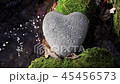 Heart shaped stone (Heartstone) 45456573