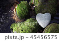 Heart shaped stone (Heartstone) 45456575