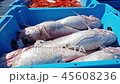 Blue containers with catch of sea fish delicacies 45608236