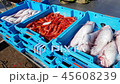 Blue containers with catch of sea fish delicacies 45608239