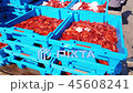 Blue containers with catch of sea shrimps 45608241