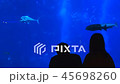 unidentified silhouette couple in front of an aqua 45698260