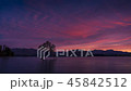 Wanaka Tree daybreak timelapse 45842512