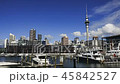 Auckland rich city centre 45842527